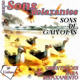 Coleção Sons Relaxantes - Sons de Gaivotas (MP3-Download)