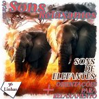 Coleção Sons Relaxantes - Sons de Elefantes (MP3-Download)