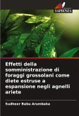 Effetti della somministrazione di foraggi grossolani come diete estruse a espansione negli agnelli ariete