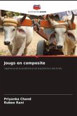 Jougs en composite