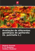 Avaliação de diferentes genótipos de gaillardia (G. pulchella L.)