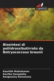 Biosintesi di poliidrossibutirrato da Botryococcous braunii