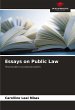 Essays on Public Law - Bild 1