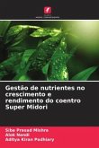 Gestão de nutrientes no crescimento e rendimento do coentro Super Midori