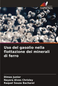 Cover Uso del gasolio nella flottazione dei minerali di ferro