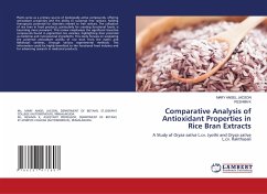 Comparative Analysis of Antioxidant Properties in Rice Bran Extracts