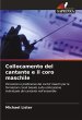Collocamento del cantante e il coro... - Bild 1