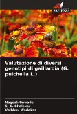 Valutazione di diversi genotipi di gaillardia (G. pulchella L.)