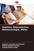 Reptiles, Reproduction, Biotechnologie, Mâles