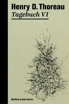 Tagebuch VI (eBook, ePUB) - Thoreau, Henry David