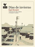 Días de invierno (eBook, ePUB)