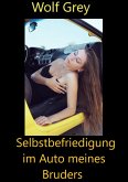 Selbstbefriedigung im Auto meines Bruders (eBook, ePUB)