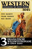 Western Dreierband 3045 (eBook, ePUB)