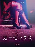 カーセックス - 官能短編小説 (eBook, ePUB)