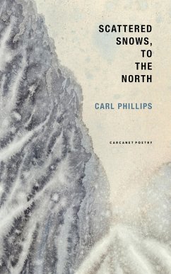 Cover Scattered Snows, to the North (eBook, ePUB)