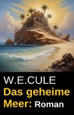 Das geheime Meer: Roman (eBook, ePUB)