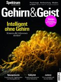Gehirn&Geist 9/2024 Intelligent ohne Gehirn (eBook, PDF) Gehirn&Geist 9/2024 Intelligent ohne Gehirn (eBook, PDF)