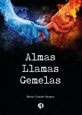 Almas Llamas Gemelas (eBook, ePUB)