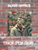 ЧУЖОЙ СРЕДИ СВОИХ (eBook, ePUB)