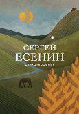 Стихотворения (eBook, ePUB)