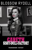 Gareth - Sissy-Doll-Factory (eBook, ePUB)