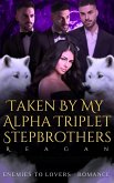 Taken By My Alpha Triplet Stepbrothers (eBook, ePUB)