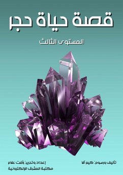 قصة حياة حجر (eBook, ePUB) - آلا, كيم