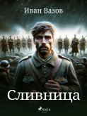 Сливница (eBook, ePUB)