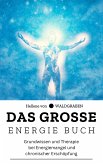 Das große Energie Buch: Grundwissen und Therapie bei Energiemangel und chronischer Erschöpfung: NEU (eBook, ePUB)