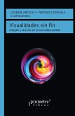 Visualidades sin fin (eBook, PDF)