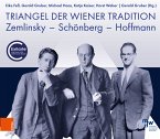 Triangel der Wiener Tradition (eBook, PDF)