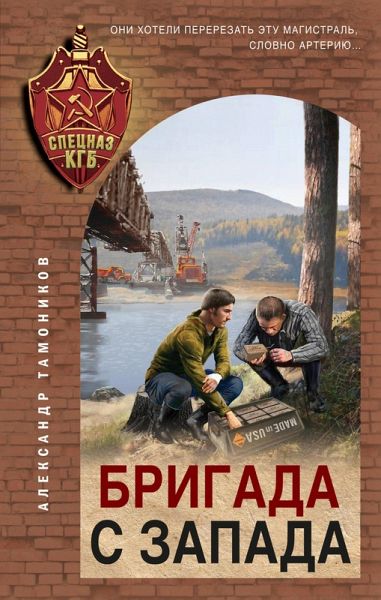 Brigada s zapada (eBook, ePUB)