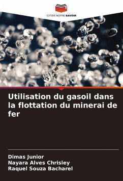 Utilisation du gasoil dans la flottation du minerai de fer - Junior, Dimas;Chrisley, Nayara Alves;Bacharel, Raquel Souza