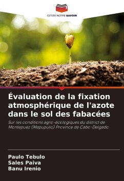 Cover Évaluation de la fixation atmosphérique de l'azote dans le sol des fabacées