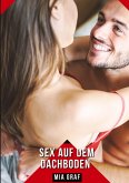 Sex auf dem Dachboden