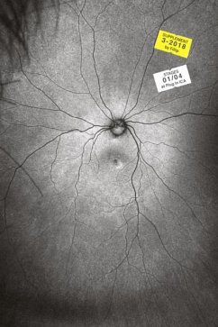 Supplement 3: The Invention and Conclusion of the Eye - Johannessen, Toril