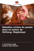 Maladies virales du poulet dans et autour de Shillong, Meghalaya