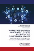 BIOSYNTHESIS OF IRON NANOPARTICLE FROM HYDROCOTYLE LEUCOCEPHALA LEAVES