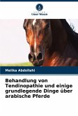 Behandlung von Tendinopathie und einige grundlegende Dinge über arabische Pferde