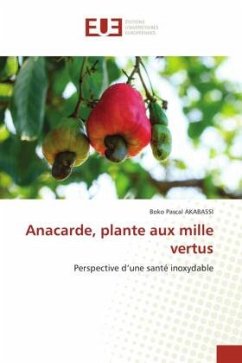 Anacarde, plante aux mille vertus - AKABASSI, BOKO PASCAL