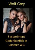 Sexexperiment Gedankenfick in unserer WG (eBook, ePUB)