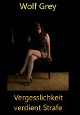 Vergesslichkeit verdient Strafe (eBook, ePUB)