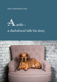 Apollo - a dachshund tells his story Apollo - a dachshund tells his story