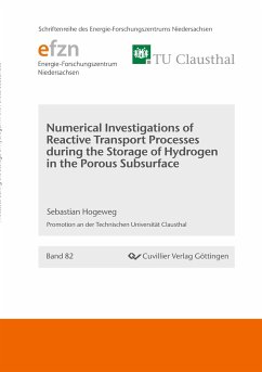 Numerical Investigations of Reactive Transport Processes during the Storage of Hydrogen in the Porous Subsurface - Hogeweg, Sebastian