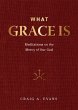 What Grace Is (eBook, ePUB) - Bild 1