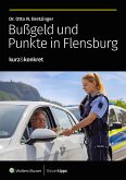 Bußgeld und Punkte in Flensburg (eBook, ePUB)