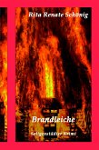 Brandleiche (eBook, ePUB)