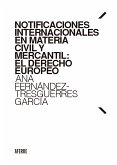 Notificaciones internacionales en materia civil y mercantil: El Derecho europeo (eBook, ePUB)