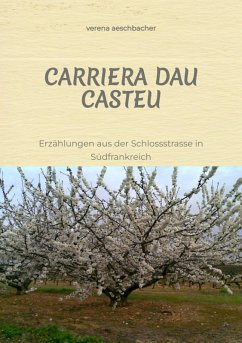 CARRIERA DAU CASTEU (eBook, ePUB) - Aeschbacher, Verena