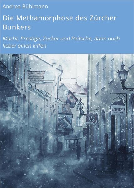 Die Methamorphose des Zürcher Bunkers (eBook, ePUB)